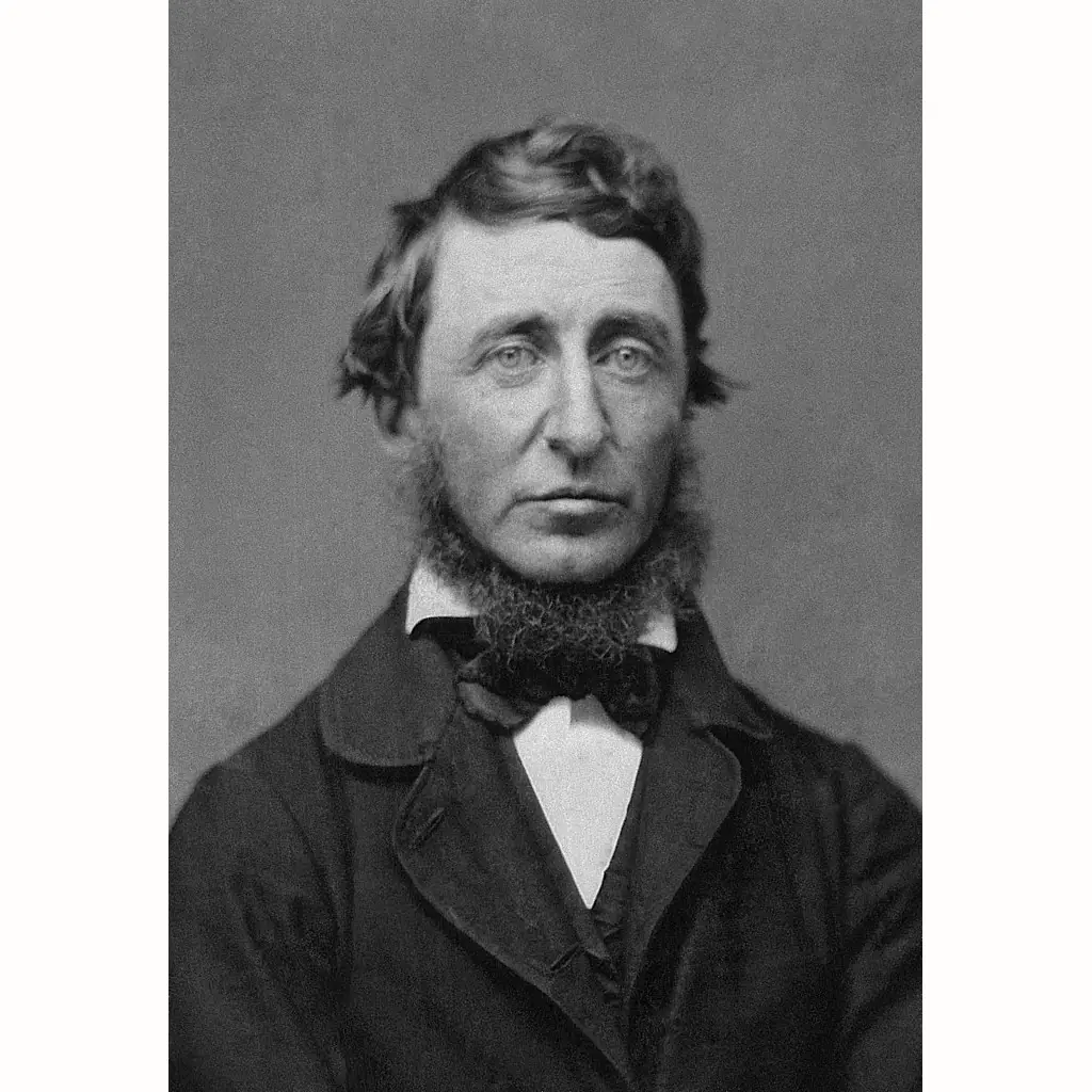 A portrait of Henry David Thoreau from1856