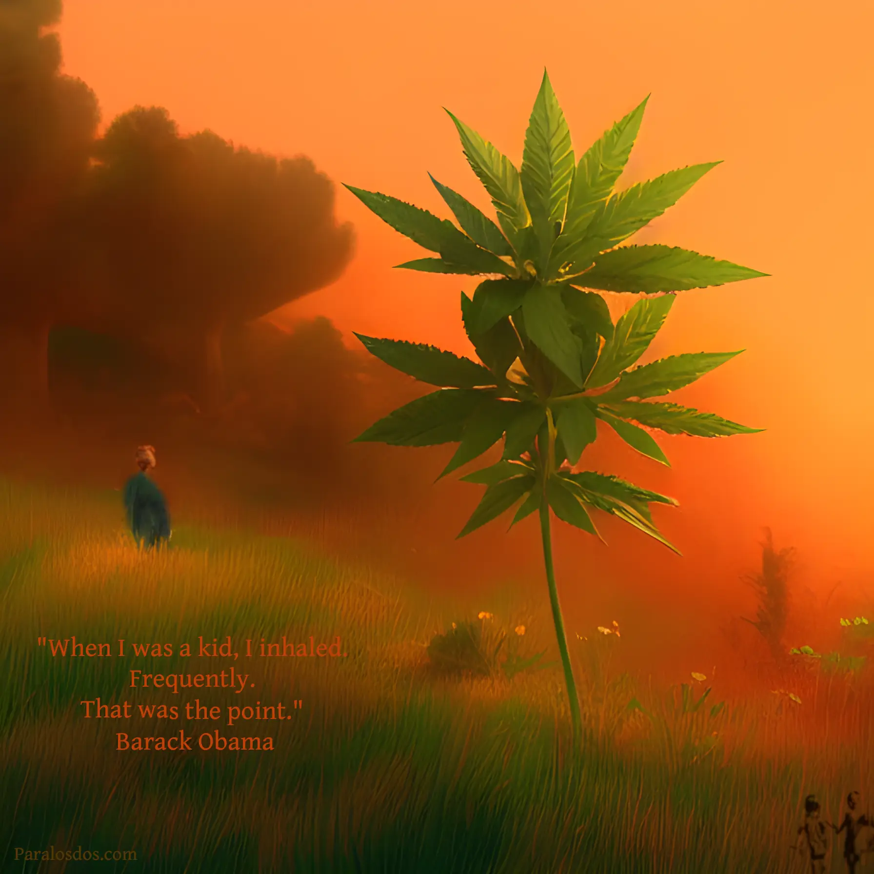An artistic rendering of a large marijuana plant in the foreground and a hazy figure in the midground left. The quote reads: "When I was a kid, I inhaled. Frequently. That was the point." Barack Obama
